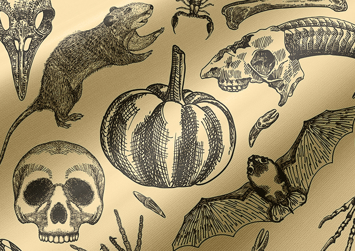 Baffling Bones - Roller Blind - Image 4